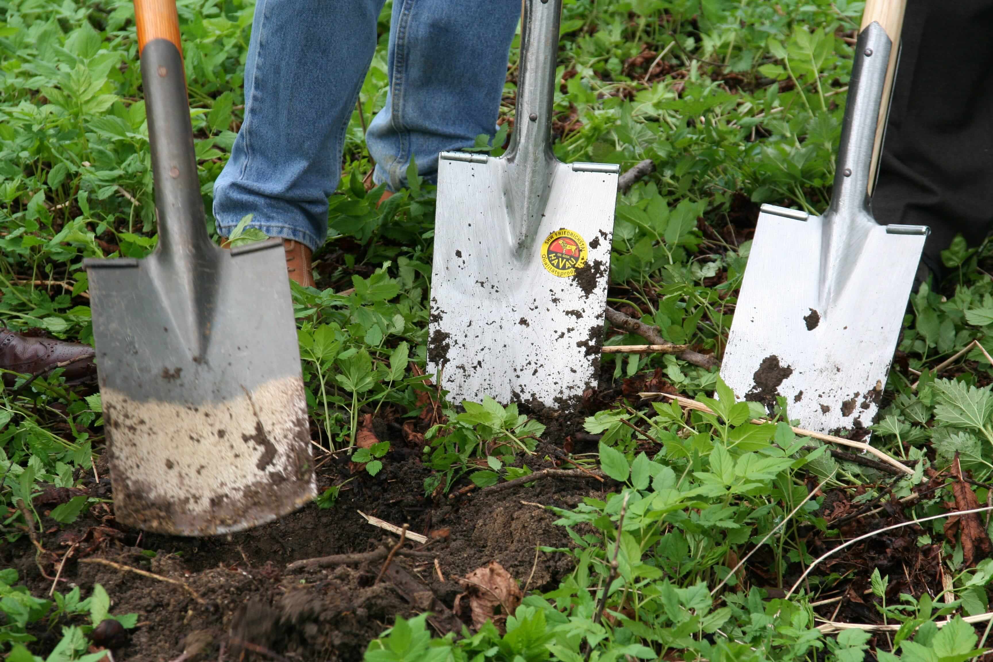 Best pris på planting og beskjæring i Moss